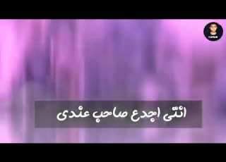 Hossam El TeHaa مطوتي شقيه من يومها