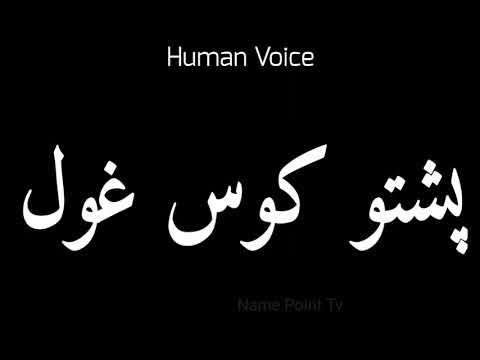 How To Pronounce پشتو کوس غول Pronunciation پشتو کوس غول How To Say پشتو کوس غول Perfectly