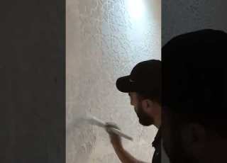 ترافينتينو بوشوار Drawing Art
