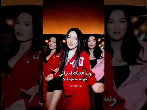 أغنية Gata Only مترجمة اكسبلور تفاعلو في منتدى ترجمة اغاني ترند