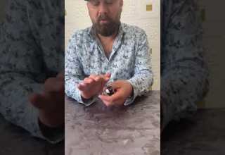 كيف اعرف البلبل ذكر ام انثى 97