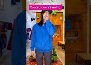  Contagious Yawning Is Real