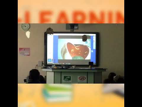 درس أعضاء الحس للمعلمة ريم حمدان