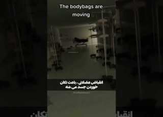 میدونستی مرده چند ساعت بعد مرگ میتونن تحرک داشته باشن ما تازه واردیم اون دکمه فالو رو بزن