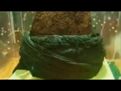 الله الله الله الله الله الله الله ما أحلى رسول الله ﷺ المادح اسماعيل محمد علي