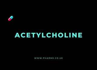 How To Pronounce Acetylcholine