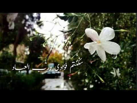 سكنتم فؤادي ورب العباد