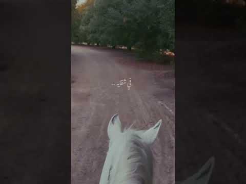 ياوليف الروح ياعني يغناتي وكل امالي