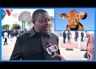 HATUKUBALI NG OMBE DUME KUVISHWA HERENI WAKAVISHWE NG OMBE WA PWANI HUKO MBUNGE TABASAMU AFOKA