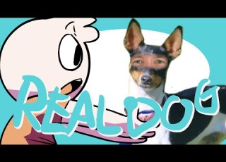 Real Dog