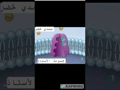 عمل مضخة الصوديوم والبوتاسيوم