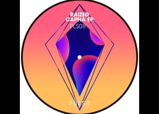 Raized How Is The Feeling Original Mix PLS011