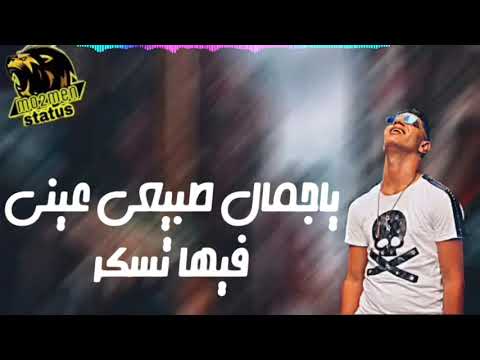 نجمه عاليه في السما وبتنور حاله واتس نور التوت نجمه عاليه في السما وبتنور حاله واتس نور التوت