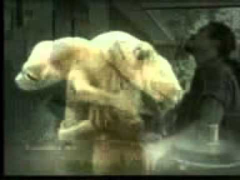 اخر نظرة بيني و بينه