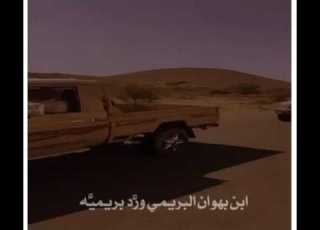 شيله راكب اللي لابغيته للحموله حمل