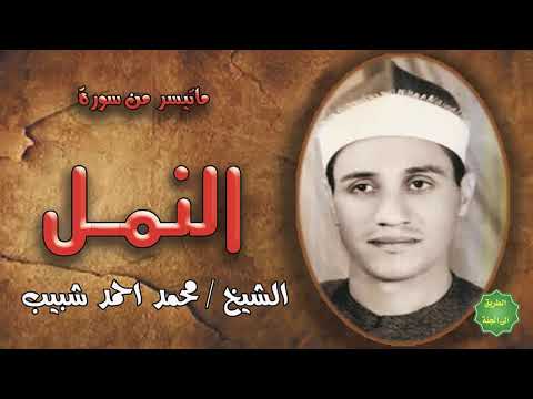 الشيخ محمد احمد شبيب ماتيسر من سورة النمل الشيخ محمد احمد شبيب ماتيسر من سورة النمل