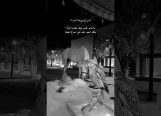  ما خاب ظني فيك وللحين واثق بأنك اطهر قلب في ع مري لقيته