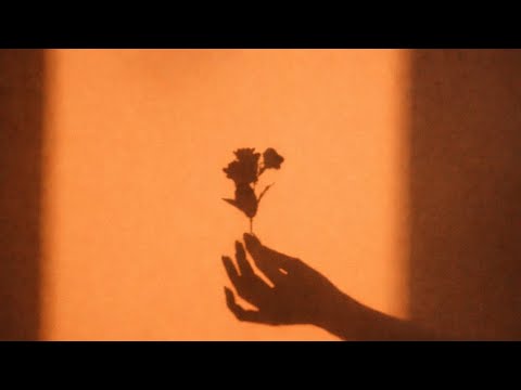 ZIAD LEGGI 2ALB ZIAD قلب زياد Official Audio