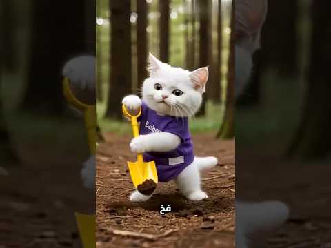 الأسد لم يتوقع هذا الفخ من بسبوس