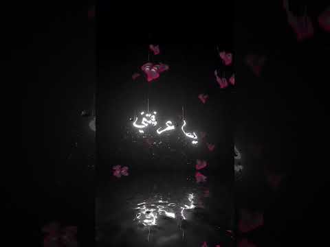 هيا مني تحشم وانا فالبيضا نشم الجزائر شاشة سوداء شاشه سوداء المغرب تصميم فيديوهات اغاني