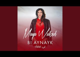  Bi Aynayk