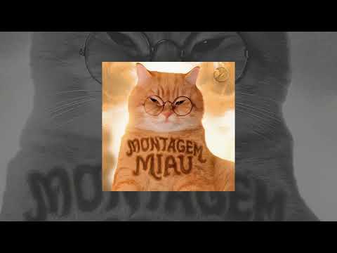 Montagem Miau Meow Meow Song
