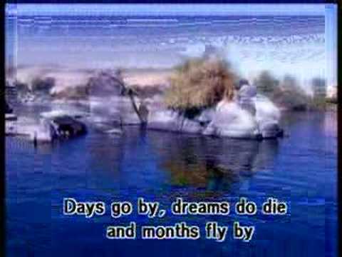 محمد منير النيــــــــل