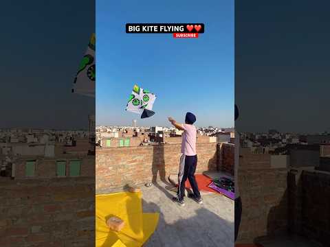 BIG KITE FLYING Kite Kiteflying Patang Kites Viralvideo Youtubeshorts Shorts