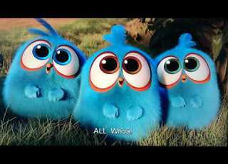  The Angry Birds Movie End Credits English Audio Description