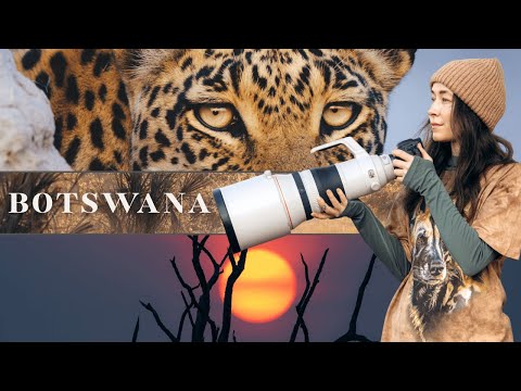So Sieht Eine Safari In Botswana Wirklich Aus Okavango Delta Savuti