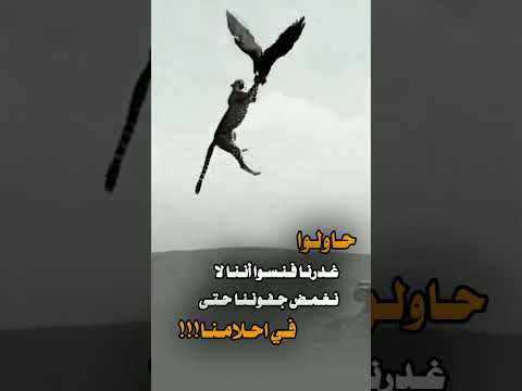 ظنوا أننا انتهينا ففوجئوا بأننا كنا فقط نعيد شموخ القوة إصرار ثقة Viral Shorts