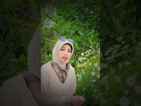 اجمل صووت طال ليلي والليالي حملها فوق احتمالي اجمل صووت طال ليلي والليالي حملها فوق احتمالي