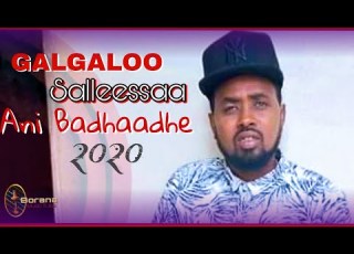 Galgaloo Salleessaa New Oromo Borana Music 2020 Ani Badhaadhe