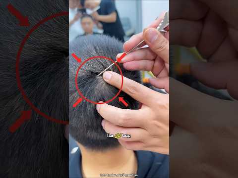 وجد الحلاق مفاجأة في شعر الرجل Shorts