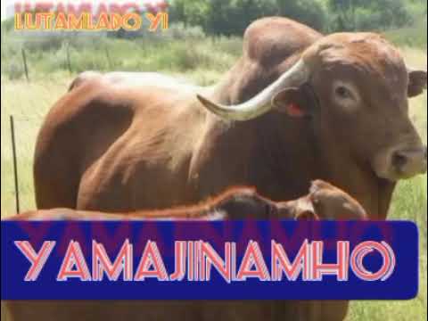 JIMINOGENI DOTO LUTAMLA UJUMBE WA POMBE MPYA 10 2 2026