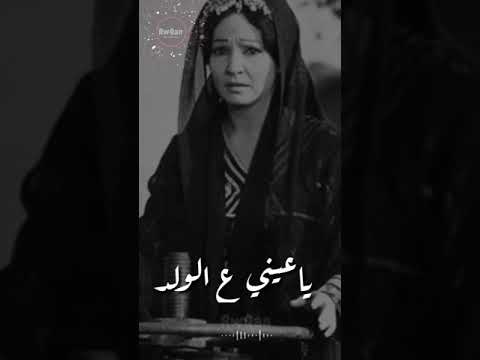 ياعينى ع الولد شاديه