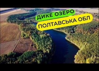  Дике Озеро Карпфішинг на дикарі