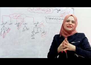الطريقة الجدلية بالمخططات