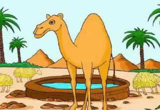 قصص الأنبياء للأطفال قصة صالح عليه السلام بدون موسيقى