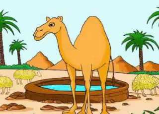 قصص الأنبياء للأطفال قصة صالح عليه السلام بدون موسيقى