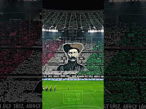 Hungary S Rózsa Sándor TIFO CHOREO Vs Serbia Football Hungary S Rózsa Sándor TIFO CHOREO Vs Serbia Football