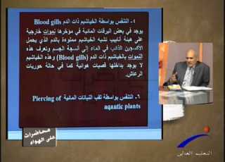 طرق التنفس فى الحشرات من محاضرات الدكتور كارم مهنى
