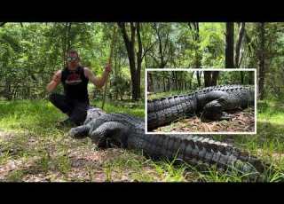  GATOR TAIL ATTACK