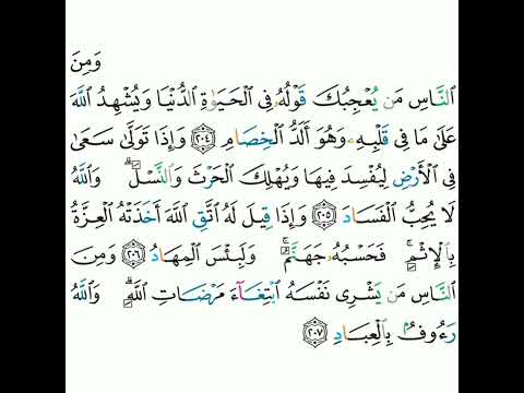 2 سورة البقرة ٢٠٤ ٢٠٧ مشاري بن راشد العفاسي