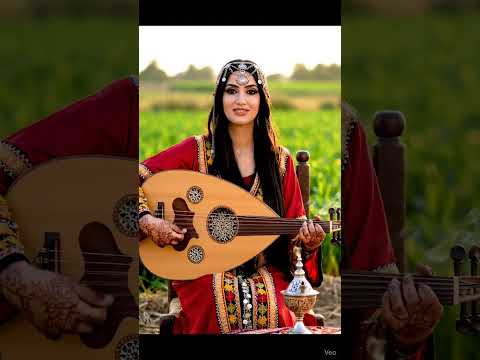 ليلك اليل ياليل الطرب اليمني طرب