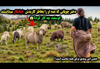 دختر چوپان در کوه بود که میان او و گوسفندانش چیزی رخ داد و همه او را خائن دانستند