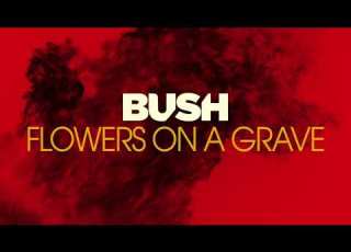  Bush Flowers On A Grave Official Audio