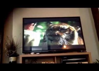 Double Feature DVD Opening 6