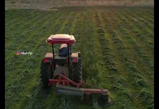 نوری ڕوخسارت وەدەر خە دەردی بێ دەرمانە شەو مامۆستا حەسەن زیرەک