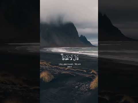 القارئ احمد خضر سورة طه